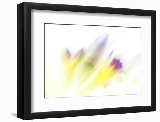 Ready to Bloom-Jacob Berghoef-Framed Photographic Print