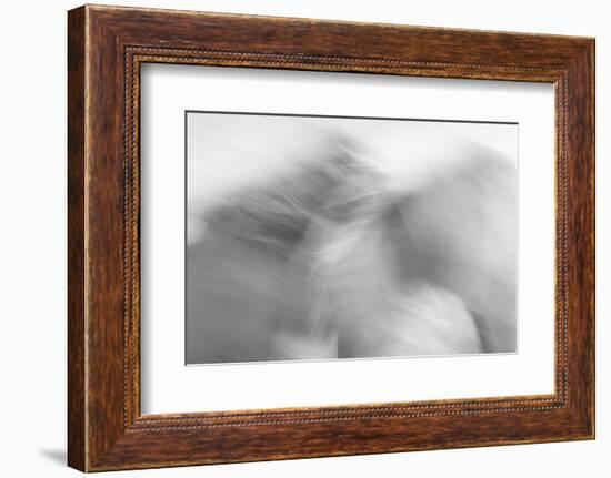 Ready to Run-Doug Chinnery-Framed Photographic Print