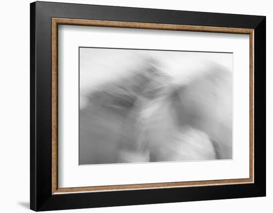 Ready to Run-Doug Chinnery-Framed Photographic Print