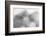 Ready to Run-Doug Chinnery-Framed Photographic Print