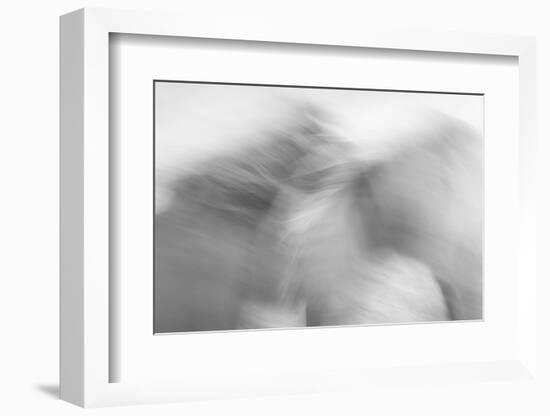 Ready to Run-Doug Chinnery-Framed Photographic Print