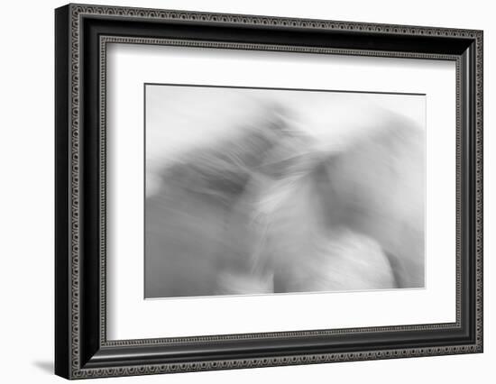 Ready to Run-Doug Chinnery-Framed Photographic Print