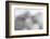 Ready to Run-Doug Chinnery-Framed Photographic Print