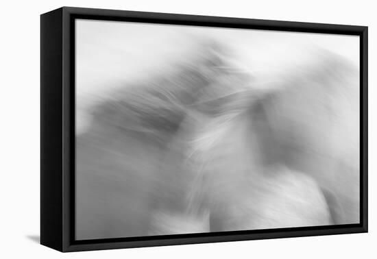 Ready to Run-Doug Chinnery-Framed Premier Image Canvas