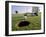 Ready to Sink the Shot-null-Framed Photographic Print