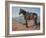 Ready & Waiting-Jack Sorenson-Framed Art Print