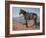 Ready & Waiting-Jack Sorenson-Framed Art Print