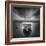 Ready-Moises Levy-Framed Photographic Print