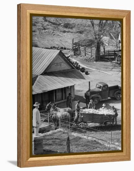 Reagor Motlow and Jess Motlow, Present Owners of Jack Daniels Distillery, Looking over Corn-Ed Clark-Framed Premier Image Canvas