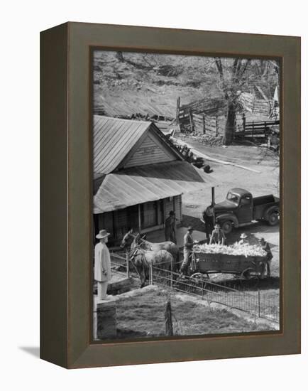 Reagor Motlow and Jess Motlow, Present Owners of Jack Daniels Distillery, Looking over Corn-Ed Clark-Framed Premier Image Canvas