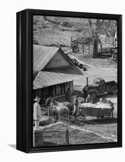 Reagor Motlow and Jess Motlow, Present Owners of Jack Daniels Distillery, Looking over Corn-Ed Clark-Framed Premier Image Canvas