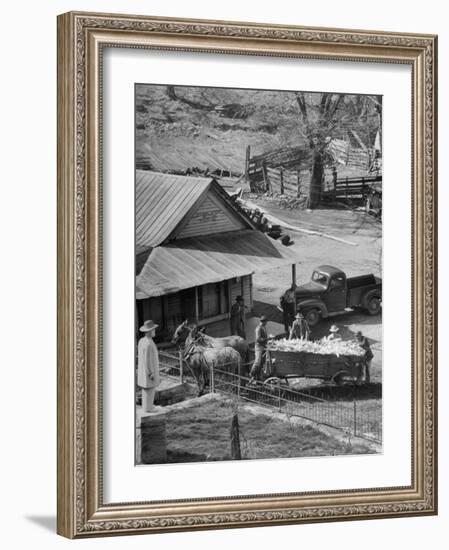 Reagor Motlow and Jess Motlow, Present Owners of Jack Daniels Distillery, Looking over Corn-Ed Clark-Framed Photographic Print