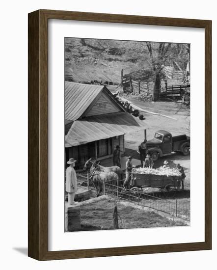 Reagor Motlow and Jess Motlow, Present Owners of Jack Daniels Distillery, Looking over Corn-Ed Clark-Framed Photographic Print