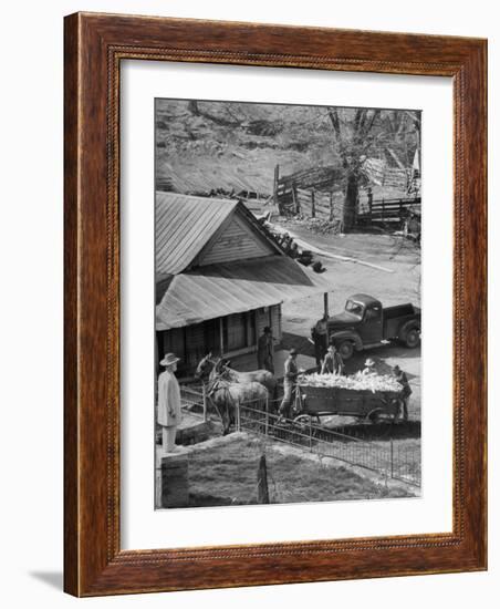 Reagor Motlow and Jess Motlow, Present Owners of Jack Daniels Distillery, Looking over Corn-Ed Clark-Framed Photographic Print