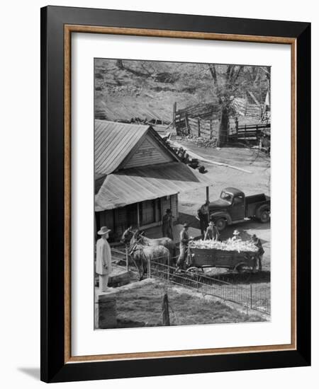 Reagor Motlow and Jess Motlow, Present Owners of Jack Daniels Distillery, Looking over Corn-Ed Clark-Framed Photographic Print