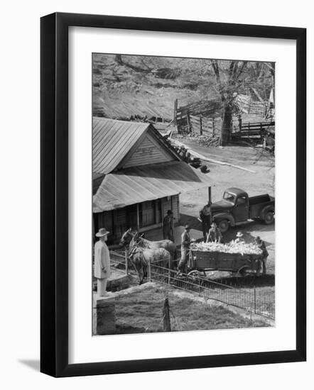 Reagor Motlow and Jess Motlow, Present Owners of Jack Daniels Distillery, Looking over Corn-Ed Clark-Framed Photographic Print