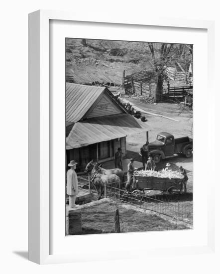 Reagor Motlow and Jess Motlow, Present Owners of Jack Daniels Distillery, Looking over Corn-Ed Clark-Framed Photographic Print