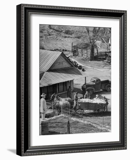 Reagor Motlow and Jess Motlow, Present Owners of Jack Daniels Distillery, Looking over Corn-Ed Clark-Framed Photographic Print