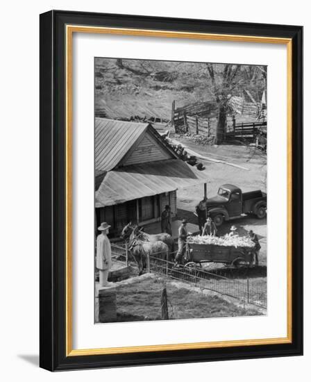 Reagor Motlow and Jess Motlow, Present Owners of Jack Daniels Distillery, Looking over Corn-Ed Clark-Framed Photographic Print