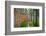 Real Alcazar Gardens in Seville, Andalusia, Spain-Aleksandar Todorovic-Framed Photographic Print