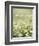 Real Camomile, Chamomilla Recutita-Herbert Kehrer-Framed Photographic Print