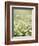 Real Camomile, Chamomilla Recutita-Herbert Kehrer-Framed Photographic Print