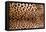 Real Leopard Skin.-William Scott-Framed Premier Image Canvas