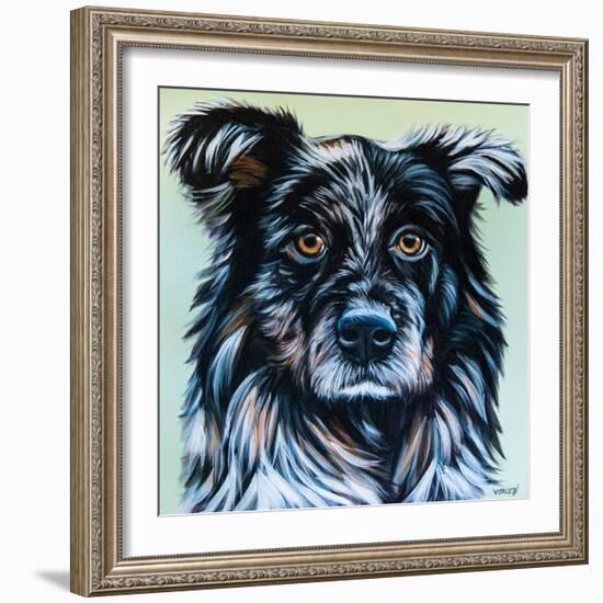 Realistic Australian Shepard-Carolee Vitaletti-Framed Art Print