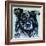 Realistic Australian Shepard-Carolee Vitaletti-Framed Art Print