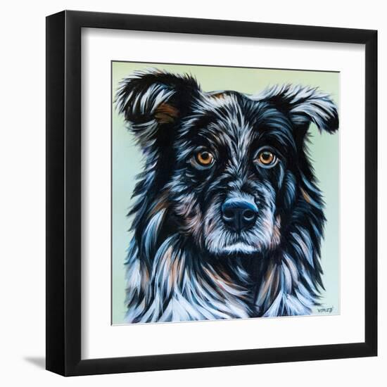 Realistic Australian Shepard-Carolee Vitaletti-Framed Art Print