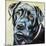 Realistic Black Lab-Carolee Vitaletti-Mounted Art Print