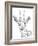 Realistic Wildlife 27-Drawpaint Illustration-Framed Giclee Print