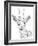 Realistic Wildlife 27-Drawpaint Illustration-Framed Giclee Print