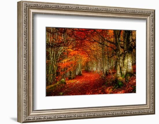 Reality and Dream-Philippe Sainte-Laudy-Framed Photographic Print