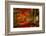 Reality and Dream-Philippe Sainte-Laudy-Framed Photographic Print