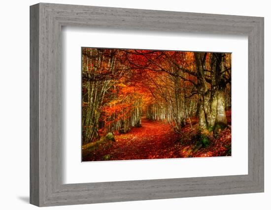 Reality and Dream-Philippe Sainte-Laudy-Framed Photographic Print