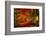 Reality and Dream-Philippe Sainte-Laudy-Framed Photographic Print