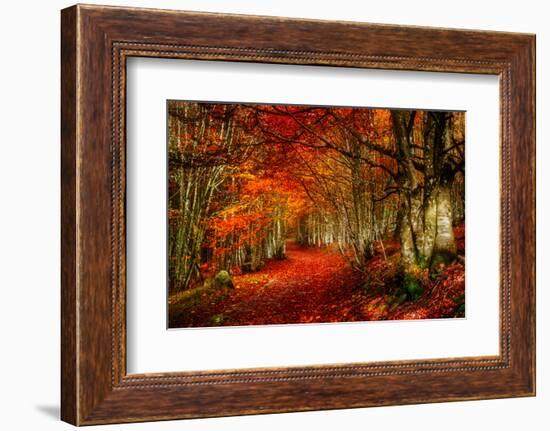 Reality and Dream-Philippe Sainte-Laudy-Framed Photographic Print