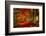 Reality and Dream-Philippe Sainte-Laudy-Framed Photographic Print