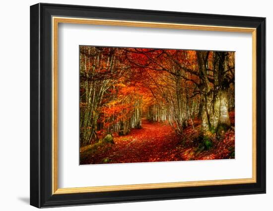 Reality and Dream-Philippe Sainte-Laudy-Framed Photographic Print