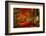 Reality and Dream-Philippe Sainte-Laudy-Framed Photographic Print