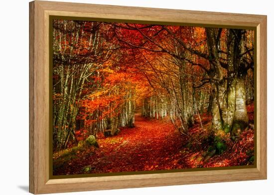 Reality and Dream-Philippe Sainte-Laudy-Framed Premier Image Canvas