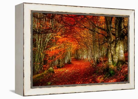 Reality and Dream-Philippe Sainte-Laudy-Framed Premier Image Canvas