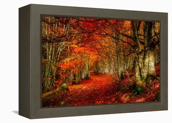Reality and Dream-Philippe Sainte-Laudy-Framed Premier Image Canvas
