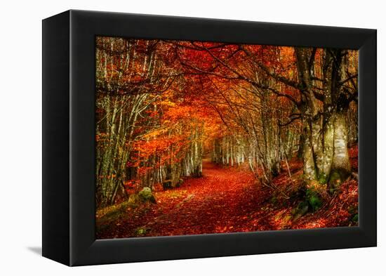 Reality and Dream-Philippe Sainte-Laudy-Framed Premier Image Canvas