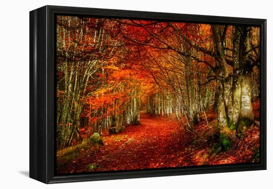 Reality and Dream-Philippe Sainte-Laudy-Framed Premier Image Canvas