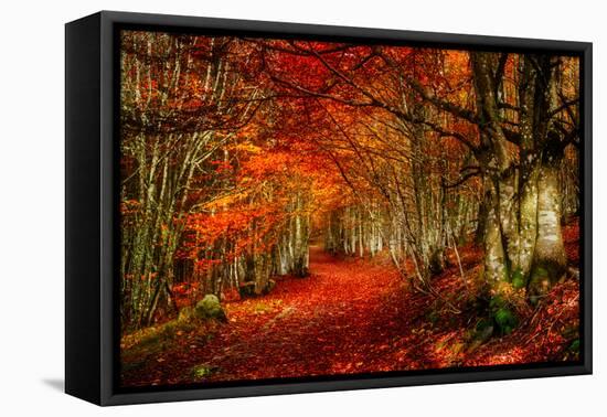 Reality and Dream-Philippe Sainte-Laudy-Framed Premier Image Canvas