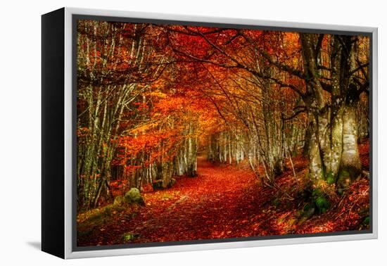 Reality and Dream-Philippe Sainte-Laudy-Framed Premier Image Canvas