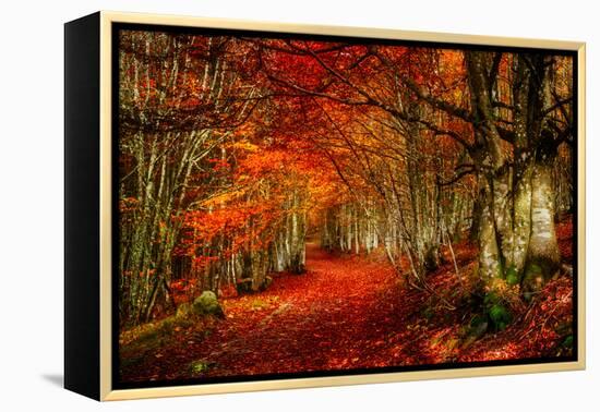 Reality and Dream-Philippe Sainte-Laudy-Framed Premier Image Canvas