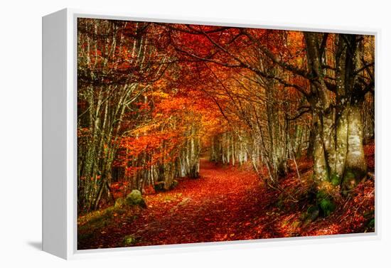 Reality and Dream-Philippe Sainte-Laudy-Framed Premier Image Canvas